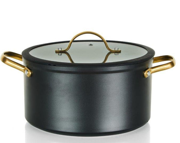 סיר 13*24 ס"מ 5.6Platinum ליטר ידיות זהב סולתם